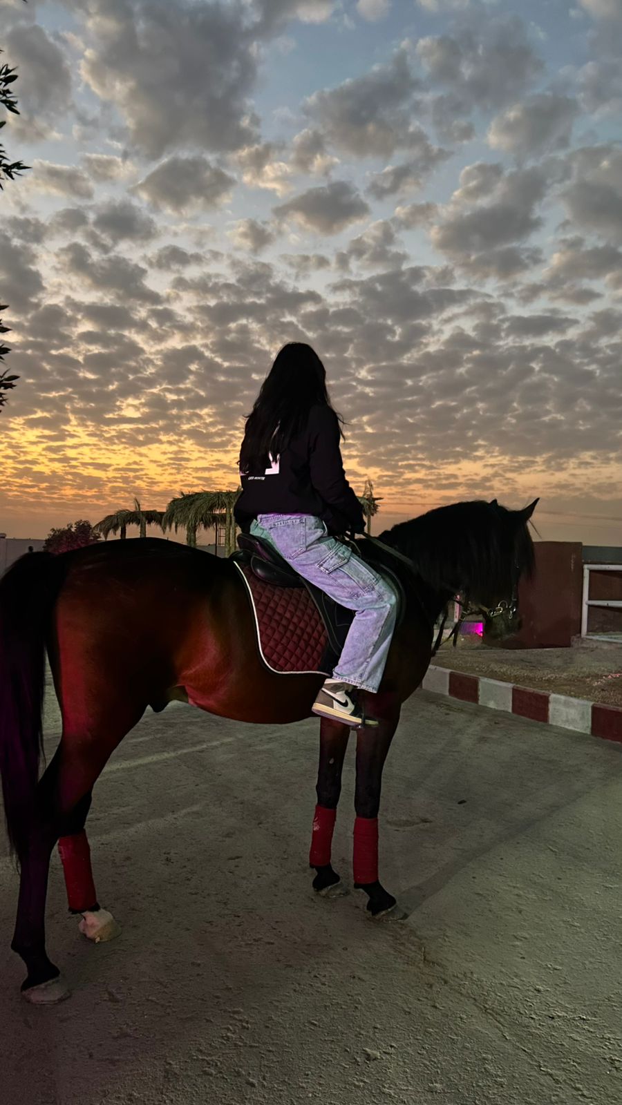 المدربة / منال الودعاني 