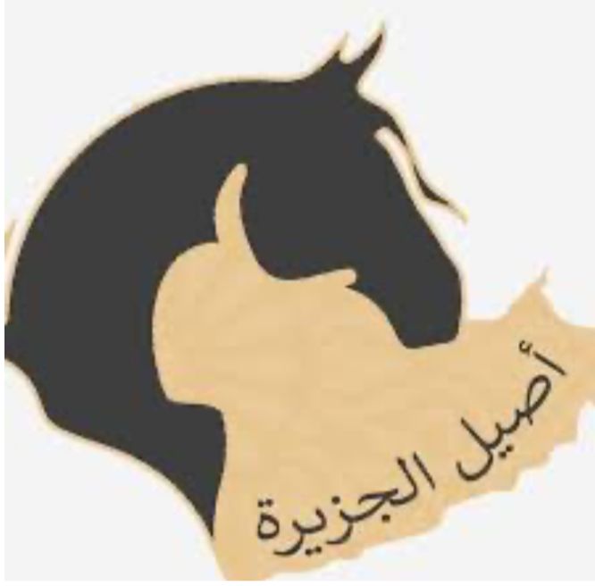 اسطبل أصيل الجزيرة