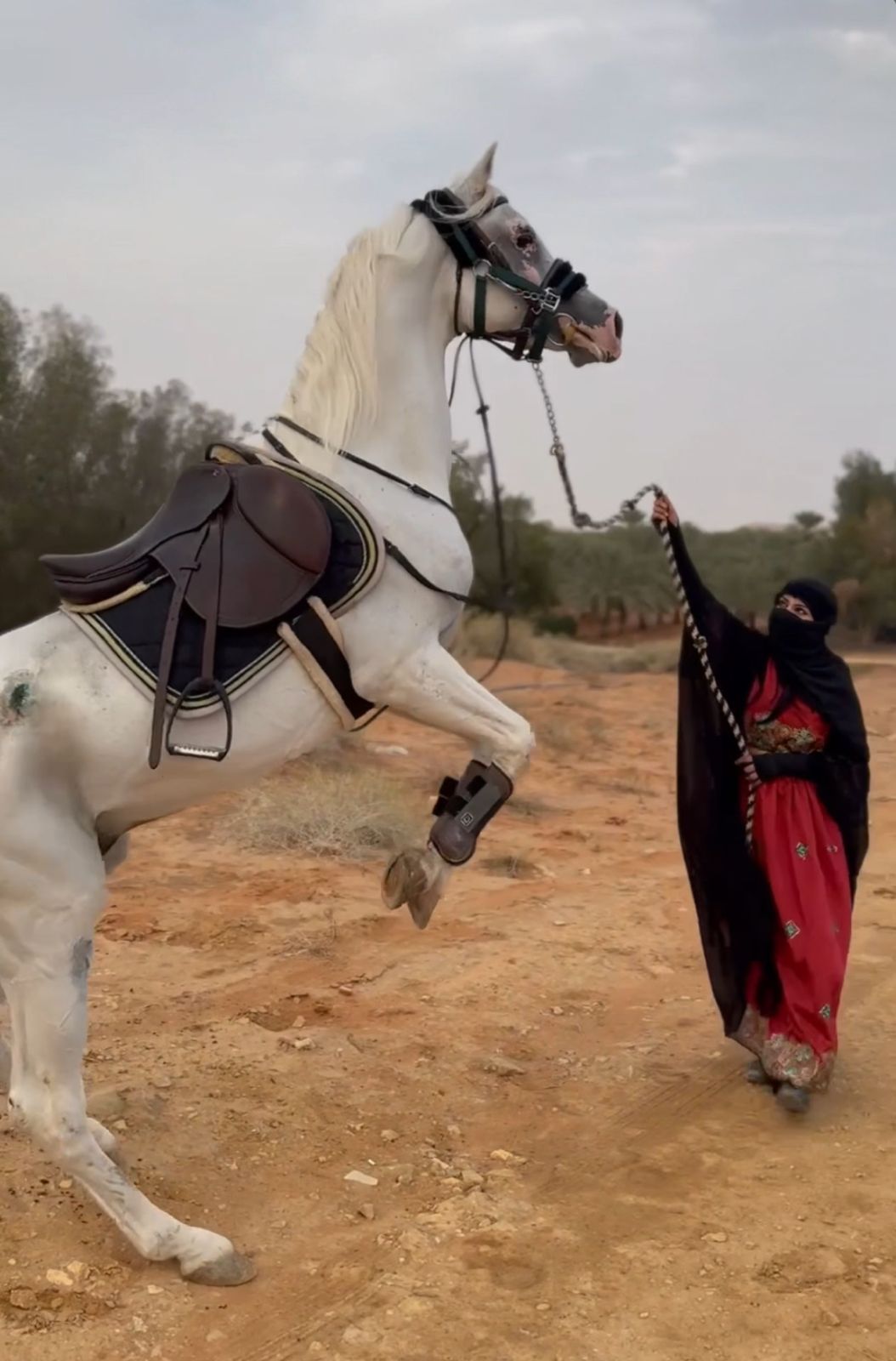 المدربة/ نوف الغيث