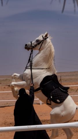 Trainer / Milaf Al-Enezi